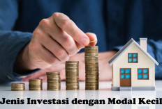 Ingin Investasi Tapi Modal Kecil, Jangan Khawatir! Ini Jenis Investasi yang Bisa Menjadi Pilihan Tepat!