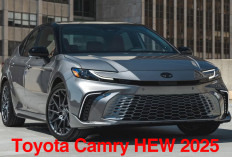 Toyota Camry HEW 2025, Mobil Hybrid Mewah Bikin Semua Pesaing Minder