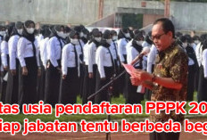 Pendaftaran PPPK 2024, Setiap Jabatan Memiliki Aturan Batas Usia Berbeda, Begini Ketentuannya