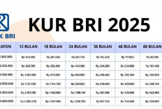 KUR BRI, Pinjaman Berbunga Ringan Untuk Peningkatan Ekonomi