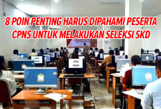 Peserta CPNS 2024 Cek Dulu Ini! 8 Poin Penting Harus Kalian Pelajari Setelah Melakukan Seleksi SKD