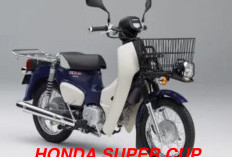 Honda Bangkitkan Motor Klasik Legendaris Super Cub, Penuh Pembaharuan 