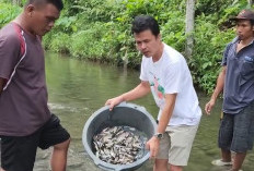 Sejumlah Nama Dicurigai Otak Pelaku Tebar Racun Ikan di Sungai, Hasil Penyelidikan Polisi, Kolam Anggota Dewan