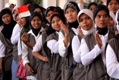 KUR PMI Bank Bengkulu Perketat Validasi, Prioritaskan Calon Pekerja Usia Produktif