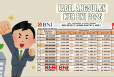 KUR BNI Sediakan Pinjaman Rp 25-500 Juta, Ini Syarat Yang mesti Dipenuhi 