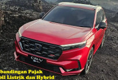 Tak Banyak yang Tahu, Ternyata Ini Perbandingan Pajak Mobil Listrik dan Hybrid!