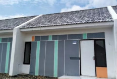 Rekomendasi Rumah Subsidi Modern di Kabupaten Gresik Cocok untuk Keluarga Muda