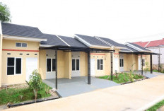 Penting untuk Diingat! Ini Hal yang Harus Dilakukan Sebelum Beli Rumah Subsidi