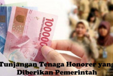 Honorer Juga Mendapatkan Tunjangan dari Pemerintah, Ini Nama Tunjangan dan Ketentuannya