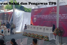 Saksi dan Pengawas Pilkada 2024 Memiliki Peran Strategis, Ini Kata Komisioner KPU RI