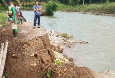 Abrasi Sungai Kian Ganas, Jalan Sukarami Putus Total, Beronjong Baru Dipasang Ikut Hanyut