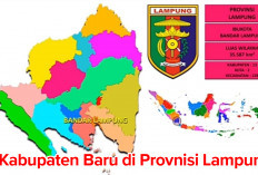 Selangkah Lagi, 6 Kabupaten Baru Provinsi Lampung Bakal Resmi Jadi DOB, Ini Daftarnya