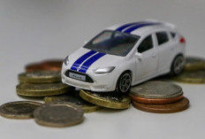 Miris! Kendaraan Dinas di Kalimantan Selatan Menunggak Pajak, Capai Miliaran Rupiah