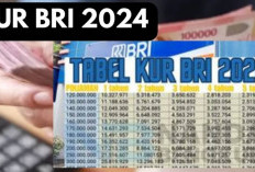 Tahun Baru Semua Baru! BRI Sediakan KUR Rp 50 Juta Per Desember 2024