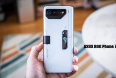 Dijamin Makin Kece dan Seru, Ini 4 Pilihan Aksesori Terbaik untuk ASUS ROG Phone 7!