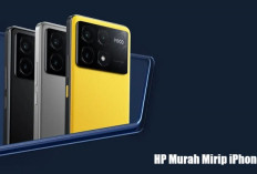 Divisi Tampil Premium Tak Harus Mahal, Ini Rekomendasi 8 HP Murah Mirip iPhone 17