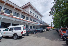 Transparansi Pejabat Dipertanyakan, 25 Pejabat Bengkulu Selatan Belum Lapor Harta ke KPK