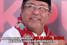 11 Artis Ikut Paslon Pilkada 2024, Berikut Ini  Nama-Namanya 