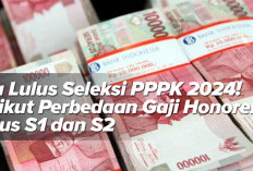 Jika Lulus Seleksi PPPK 2024! Berikut Perbedaan Gaji Honorer Lulus S1 dan S2 