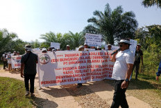 Di Kaur-Bengkulu, Puluhan Tahun PT DSJ Operasi Tanpa HGU, PPSS Desak Tutup 