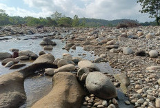 TEGAS! Polisi Pastikan Ungkap Keabsahan Aktivitas Galian C di Sungai Kedurang