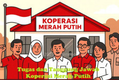Jangan Abai, Ada Tugas dan Tanggung Jawab Anggota Koperasi Merah Putih 2025, Cek di Sini!