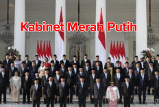 Dikatakan Kabinet Gemuk, Ini Jumlah dan Nama Menteri Hingga Staf Khusus Presiden RI