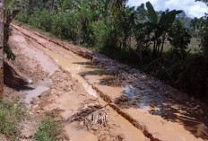 9 Paket Perbaiki Jalan Rusak di Bengkulu Selatan Segera Dimulai, Segini Dana Digelontorkan