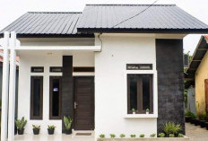 Program Rumah Subsidi: Peluang Emas untuk Memiliki Rumah Sendiri dengan Harga Terjangkau!