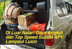 Di Luar Nalar! Daya Angkut dan Top Speed Suzuki APV Lampaui Luxio