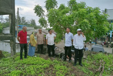 Usai Didatangi KKP RI, Rencana Pasar Bawah Bakal Dibangun Jadi Kampung Nelayan Semakin Jelas