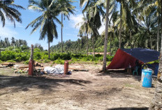 Alasan Ini, Pembongkaran Kapal GCS Georgia Sejahtera di Perairan Nasal Dihentikan Sementara 