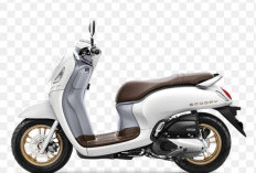 Motor Matic Cocok untuk Wanita Kantoran, Honda BeAT Atau Yamaha Fino Sporty 125