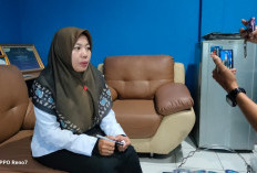 NI PPPK Kaur Tahap 1 dan II Akan Diajukan Serentak, Berikut Jadwalnya