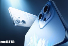 OPPO Reno14 F 5G Tawarkan Layar AMOLED 120Hz dan Kamera 50MP