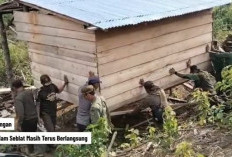 Operasi Serius Penyelamatan Gajah Sumatra, Gakkum Kehutanan Sasar Cukong