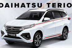Masih Terjangkau! Segini Harga Mobil Daihatsu Ayla dan Daihatsu Terios 2025