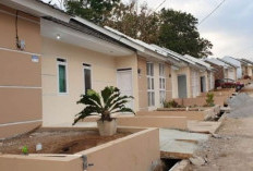 Jangan Asal Pilih Ini Kriteria Penting Rumah Subsidi yang Bisa Diajukan Sebelum Membeli
