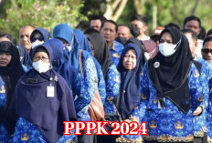 Seluruh Honorer Pasti Diangkat PPPK   2024, Begini Penjelasan KemenPAN-RB 