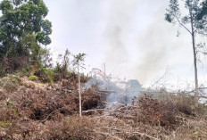 Musim Kemarau, Pembukaan Lahan Meningkat, Inilah yang Ditegaskan ke Pemdes