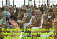 Honorer Kehabisan Formasi di Gelombang Pertama Tidak Perlu Takut, Ini Keringanan Diberikan Pemerintah