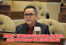 Ini Pesan Penting MenPAN-RB untuk Guru Honorer yang Lulus PPPK 