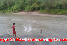 Spot Mancing Sidat di Sungai Air Nasal,  Cek Tantantannya Memancingnya