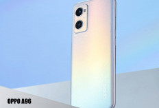 Pertama Rilis OPPO A96 Diminati Pembeli, Gimana Kini?
