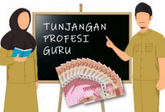 Anggaran Ada, Tapi TPG dan Tamsil Guru Belum Disalurkan Pemprov, Ada Apa Ya? Ini Penyebabnya! 