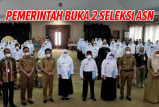 SEDIHNYA! Honorer 9 Golongan Ini Tidak dapat Ikut Seleksi PPPK 2024