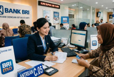 KUR BRI 2026 Buka Peluang UMKM, Pinjam 20 Juta Cicilan Super Ringan Mulai Rp 300 Ribuan