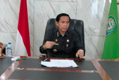 Gerbong Mutasi Pemda Kaur Segera Bergerak,   Bupati: Masih Tunggu Laporan Teknis Tim 
