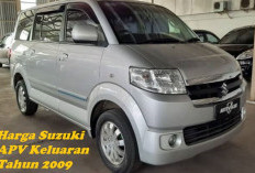 Pengen Punya Suzuki APV Bekas Tahun 2009? Segini Dana Yang Harus Disiapkan! Dijamin Masih Terjangkau