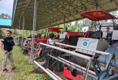 Petani di Bengkulu Selatan Bakal Terima Bantuan Puluhan Alsintan, Cek di Sini Cara Dapatkannya